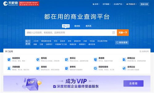 盤點(diǎn)2024年主流企業(yè)信息查詢軟件與信息技術(shù)咨詢服務(wù)