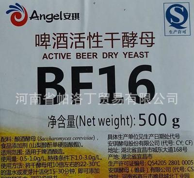 啤酒酵母的另一種生命 供應(yīng)安琪BF16拉格酵母的前世今生